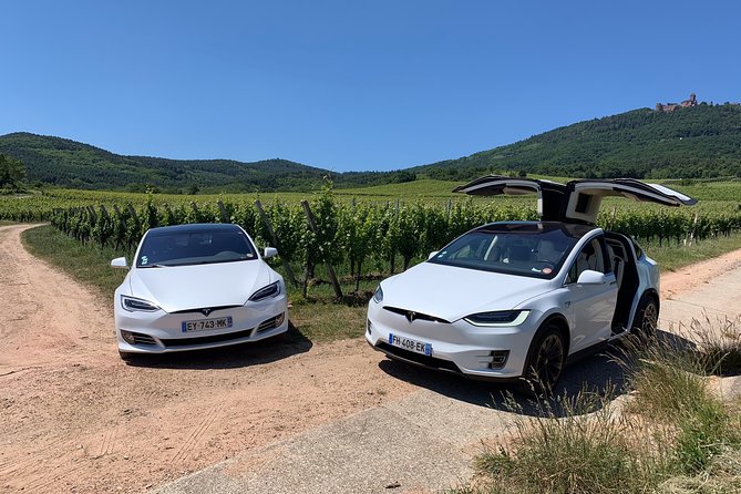 Alsace Private Tailored Tour in a Tesla With a Local - Final Words