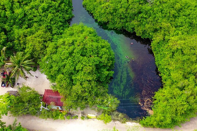 Amazing Beginner Dive in Tulum Cenote (Or Refresher Dive) - Final Recommendations