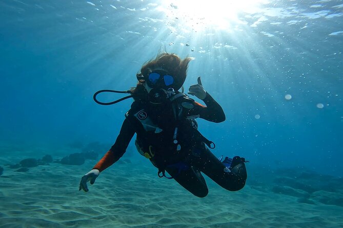 Beginner Scuba Experience With Free Video Package - Honolulu - Pricing & Terms