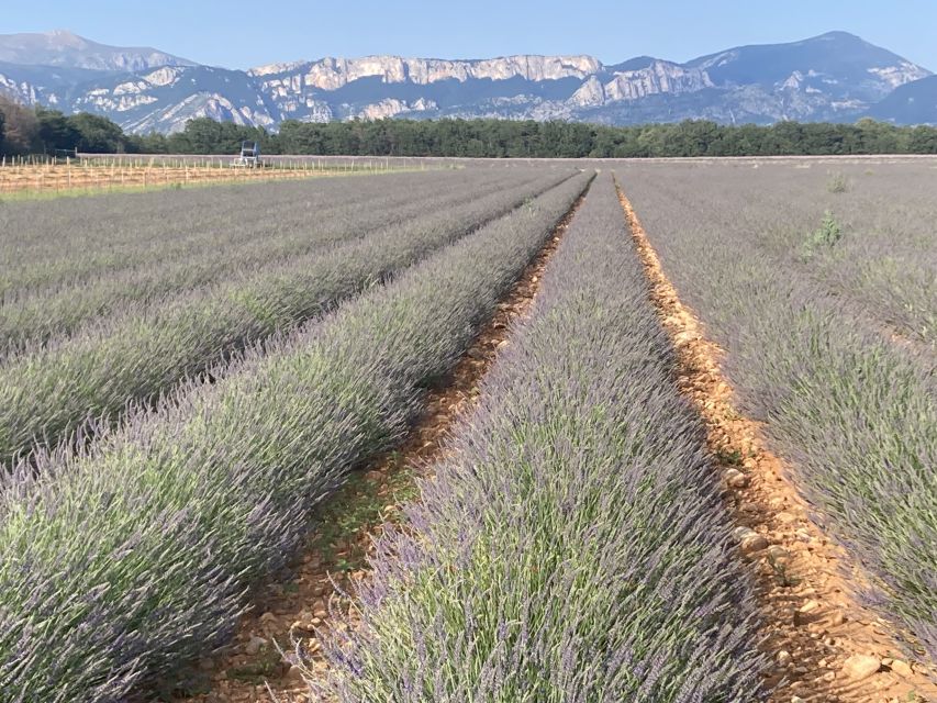 Bespoke Luxury Sightseeing Experiences - Destination: Provence-Alpes-Côte Dazur