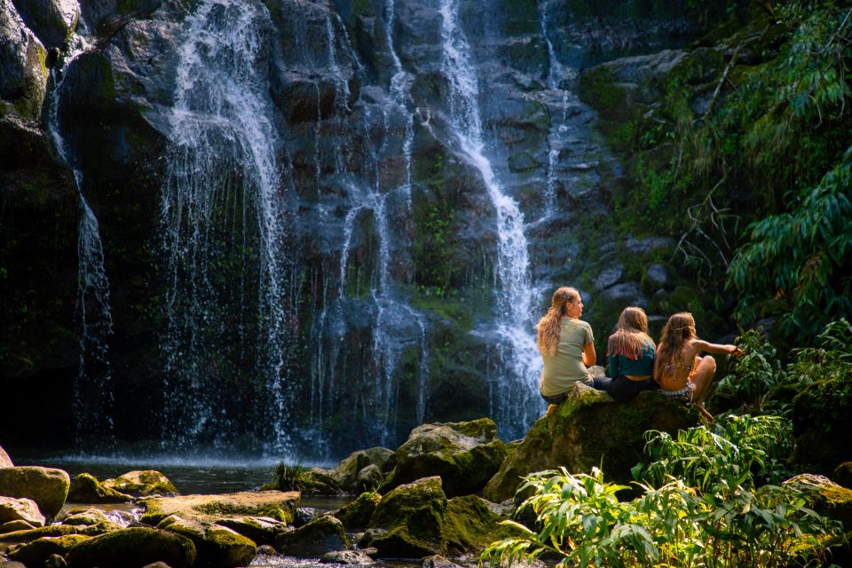 Big Island: Full Day Adventure Tour of the Kohala Waterfalls - Review Summary and Tour Highlights