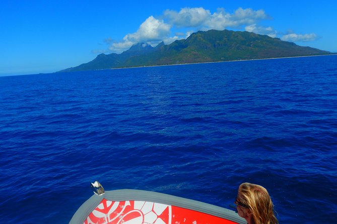 Boat Tour 1/2 Day Excursion in the Lagoon of Moorea - Safety Guidelines