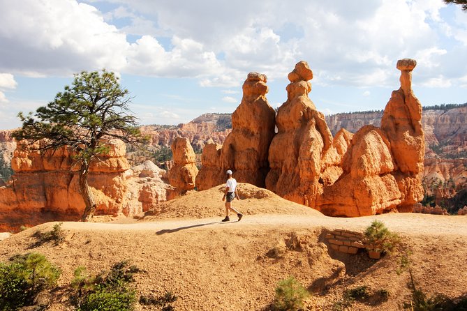 Bryce Canyon and Zion National Park Day Tour From Las Vegas - Common questions