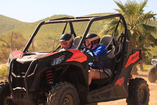 Cabo Migrino Beach & Desert UTV Tour and Tequila Tasting - Tequila Tasting and Tour Highlights