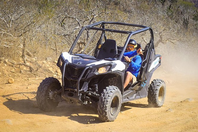 Cabo San Lucas and Margaritas Beach UTV Adventure - Tequila Tasting and Margarita Beach