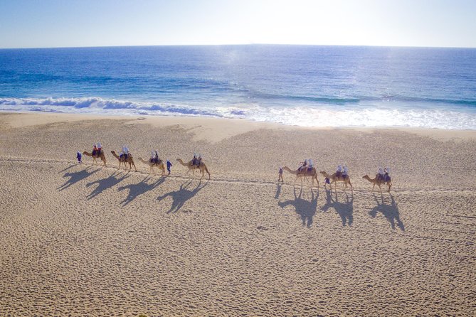 Cabo San Lucas Camel Ride With Mexican Buffet and Tequila Tasting - Final Words