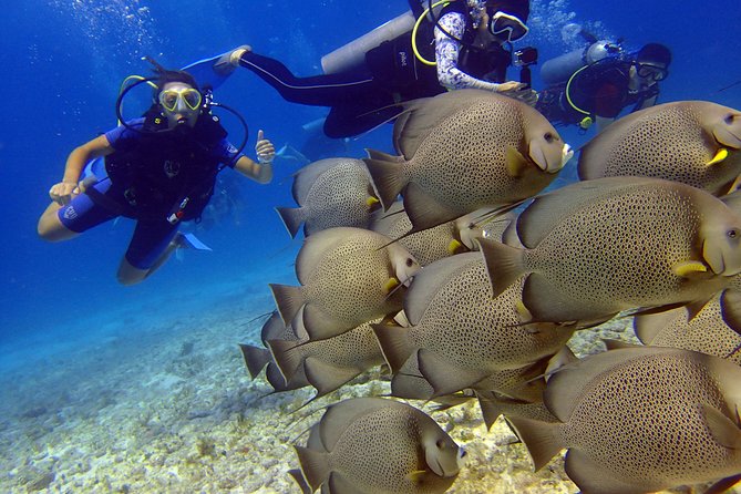 Cancun Beginners Scuba: Two Tanks, Two Dives, No Dock Fees - Viators Booking Process