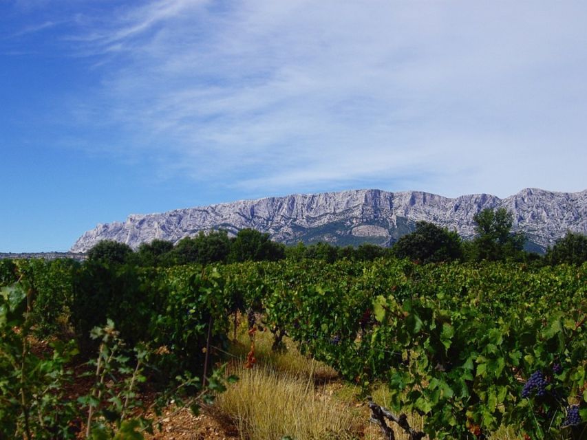 Coteaux D'aix: Ste Victoire Wine Tour & Cezanne Mill Visit - Common questions