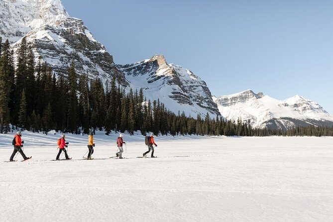 [Day Trip]Adventure in Lake Louise, Johnston Canyon & Banff Town - Johnston Canyon - Natures Masterpiece