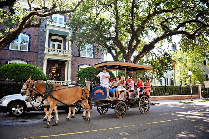 Daytime Horse-Drawn Carriage Sightseeing Tour of Historic Charleston - Final Words