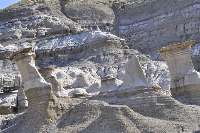 Drumheller (Dinosaur Valley) & Horseshoe Canyon 1-Day Tour - Additional Information