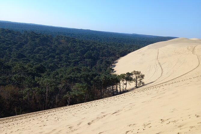 Dune Du Pilat and Oysters Tasting in Only 1 Hour Away From Bordeaux ! What Else? - Common questions