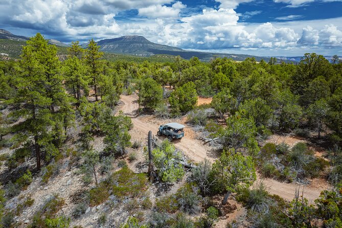 East Zion East Rim Jeep Tour - Common questions