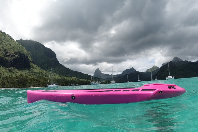 Electric Bodyboard Rental in Moorea-Maiao - Final Words