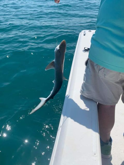 Set out on a Thrilling Adventure With Skyway Fishing Tours - Skyway Bridge Views