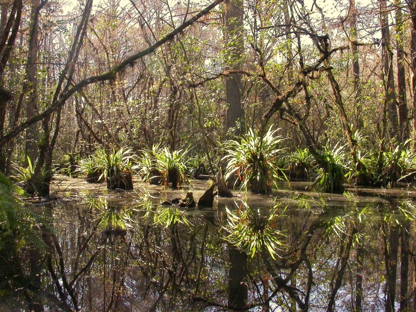 Everglades Day Safari From Fort Lauderdale - Common questions