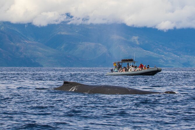 Eye-Level Whale Watching Eco-Raft Tour From Lahaina, Maui - Final Words