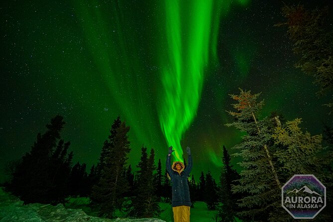 Fairbanks Small-Group Aurora Chasing Tour - Booking and Contact Details