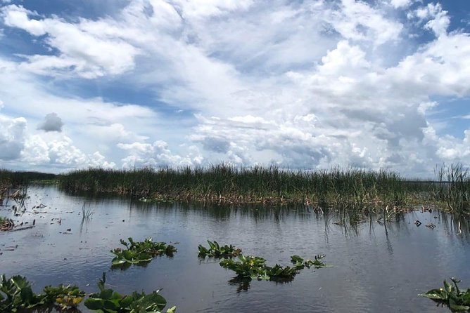 Florida Everglades Airboat Tour and Wild Florida Admission With Optional Lunch - Location and Wildlife Experience
