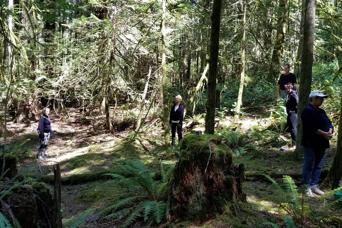 Francis King Regional Park Forest Bathing  - Vancouver Island - Final Words