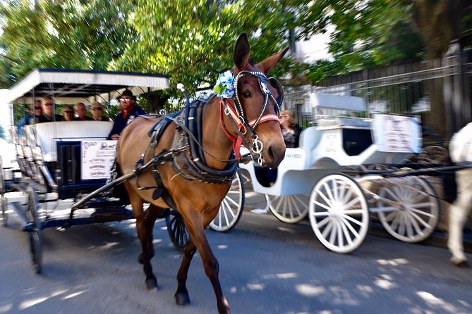 French Quarter and Marigny Neighborhood Carriage Ride - Additional Information