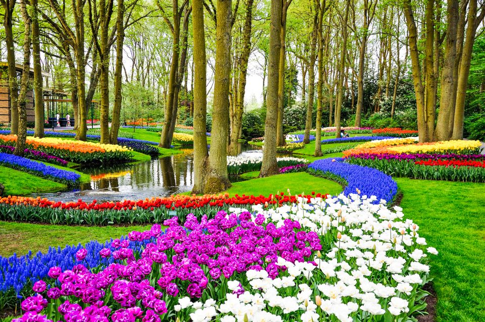 From Amsterdam: Keukenhof Entry and Roundtrip Shuttle Bus - Directions