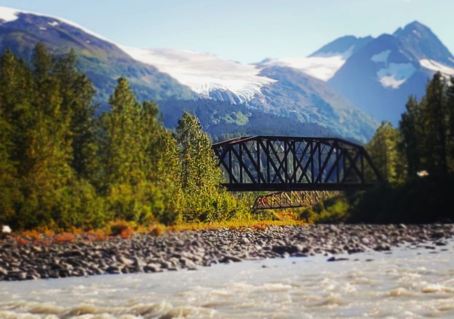 From Anchorage: 4-Day Seward and Kenai Camping & Hiking Tour - Wildlife Sightings Opportunities