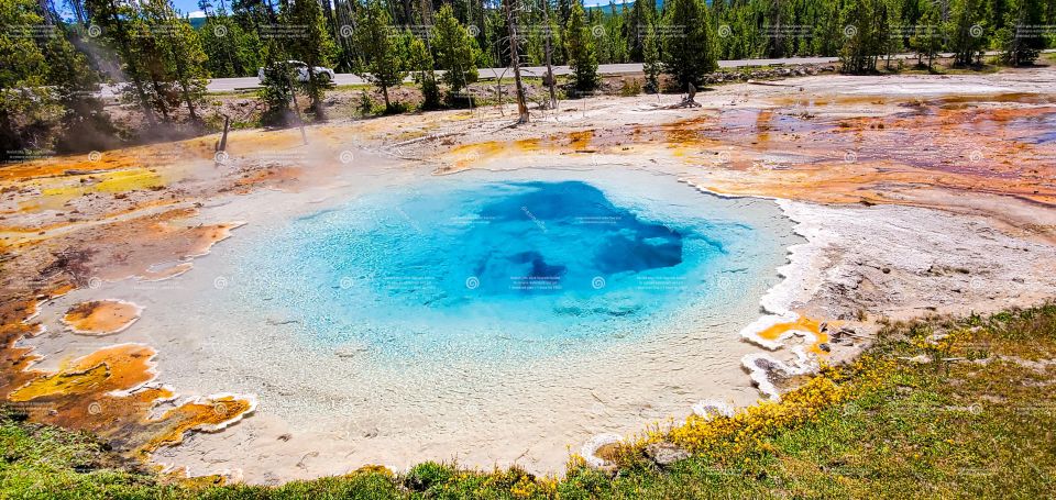 From Bozeman: Yellowstone Full-Day Tour With Entry Fee - Common questions