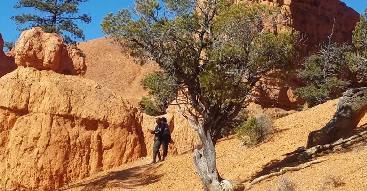 From Las Vegas: Zion and Bryce Canyon Guided Day Tour - Final Words