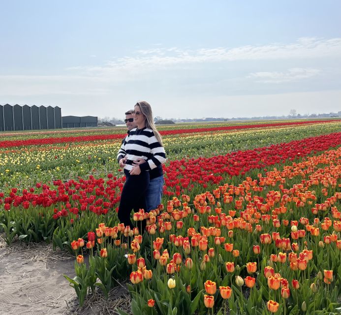 From Lisse: Flower Bike Tour Along Keukenhof and De Tulperij - Experience Overview