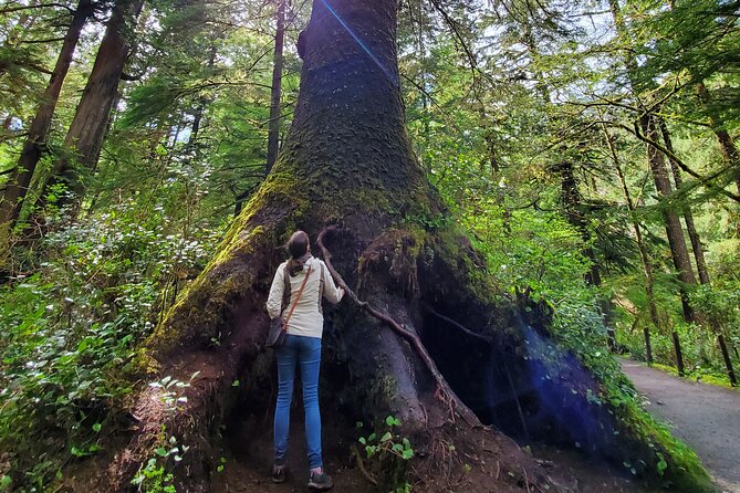 Full-Day Guided Oregon Coast Tour From Portland - Customer Recommendations and Reviews