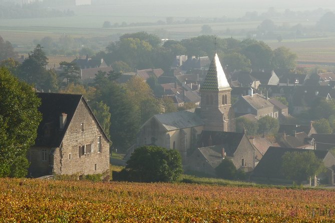 Full Day Private Tour 10 Premiers & Grands Crus, The Best of Burgundy - Ratings & Reviews