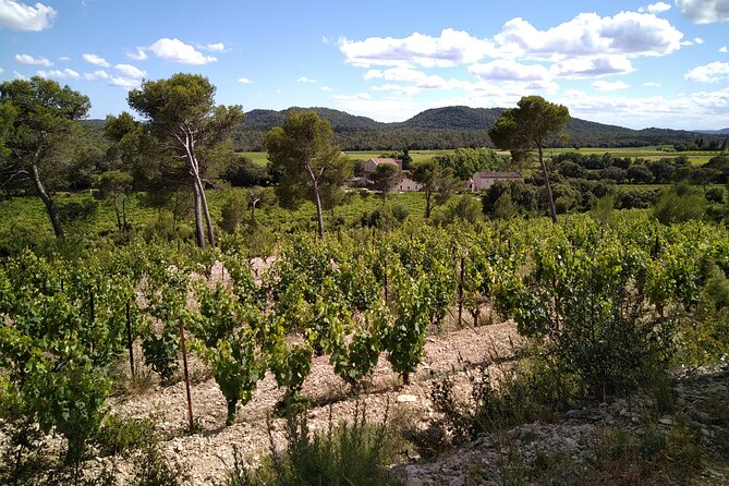 Guided Electric Bike Tours With Tasting in Pic Saint Loup - Contact Information