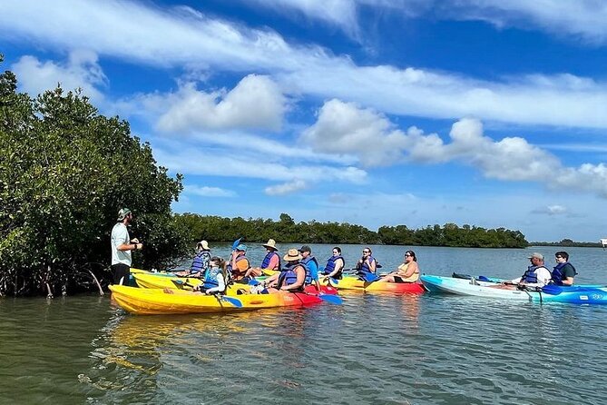 Guided Kayak Mangrove Ecotour in Rookery Bay Reserve, Naples - Final Words