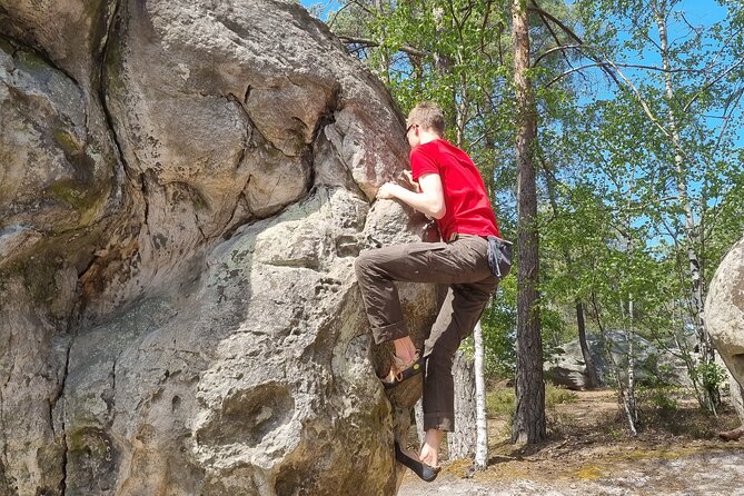 Half-Day Bouldering in Fontainebleau - Safety Measures and Guidance