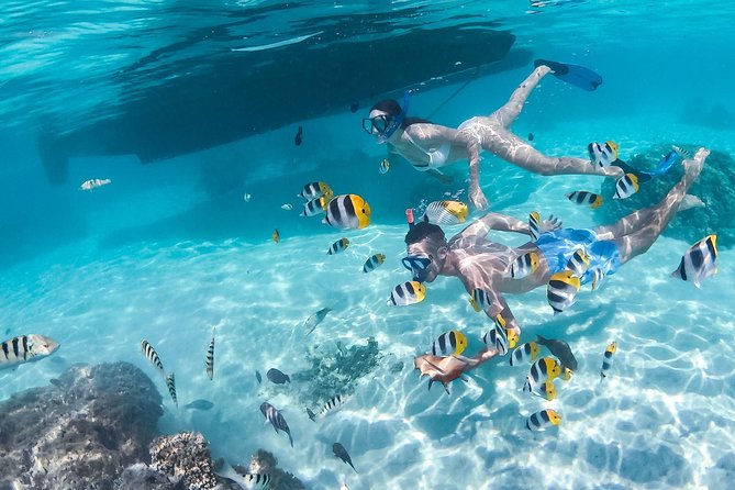 Half Day Tour : Moorea Snorkeling & Sailing on a Catamaran Named Taboo - Customer Reviews and Recommendations