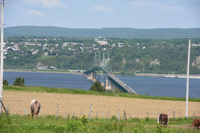 Half-Day Trip to Montmorency Falls and Ste-Anne-De-Beaupré From Quebec City - Common questions