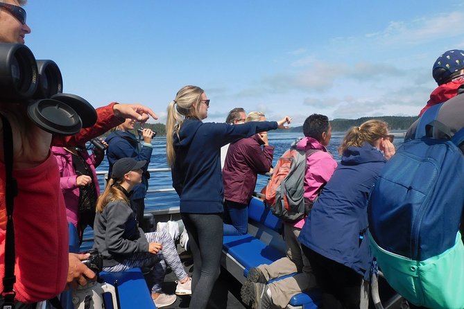 Half-Day Whale Watching Adventure From Telegraph Cove - Booking Information