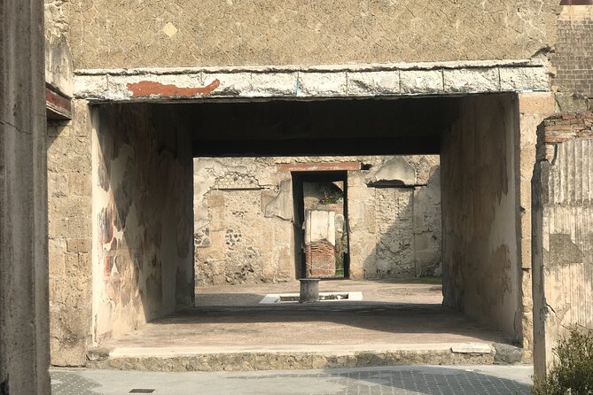 Herculaneum Private Tour With an Archaeologist - Common questions