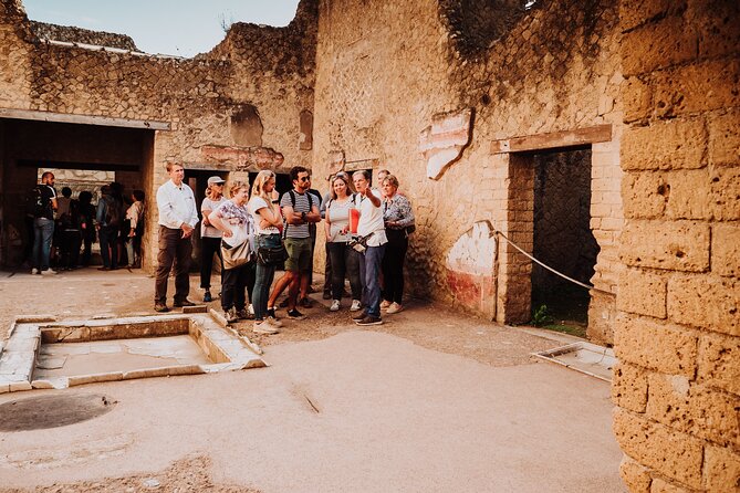 Herculaneum Small Group Tour With an Archaeologist - Group Tour Highlights