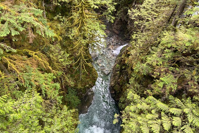 Hike Lynn Canyon and Bike Seymour Demonstration Forest - Recommended Pit Stops Along the Trails