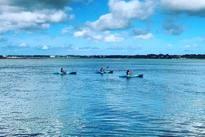 Hilton Head Guided Kayak Tour - Common questions