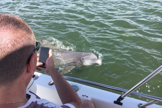 Hilton Head Island Dolphin Boat Cruise - Traveler Reviews