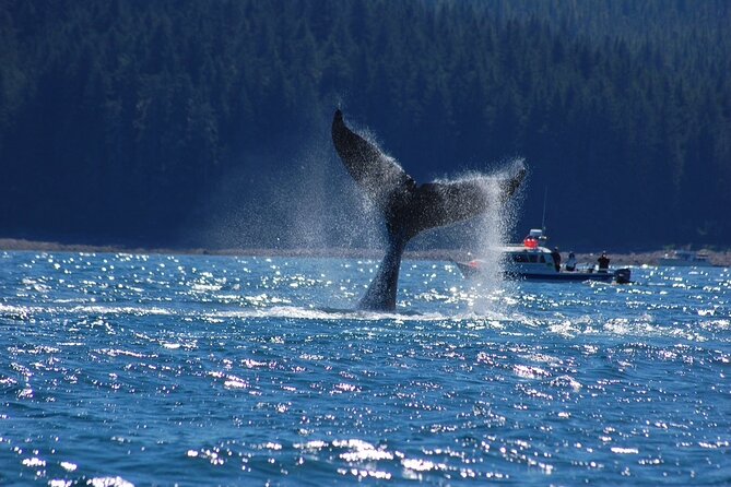 Hoonah Whale-Watching Cruise - Common questions