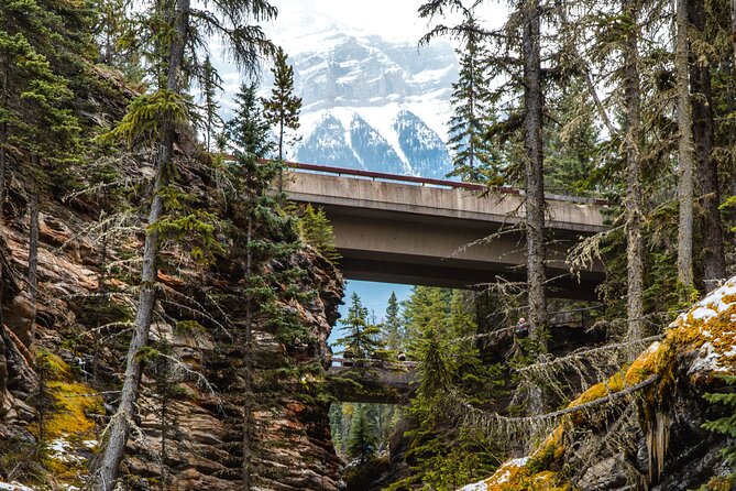 Icefields Parkway: a Smartphone Audio Driving Tour - Educational and Interactive Content