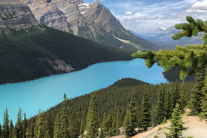 Icefields Pkwy: Lake Louise Bow Lake Peyto Lake Glacier - PRIVATE DAY TOUR - Private Day Tour Inclusions