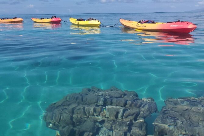 Kayak and Snorkel: Maui West Shore - Common questions