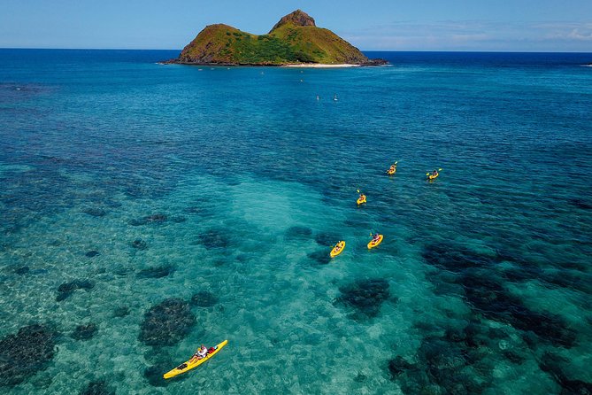 Kayaking Tour of Kailua Bay With Lunch, Oahu - Snorkeling With Wildlife Experience