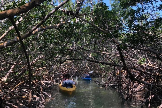 Key West Mangrove Kayak Eco Tour - Secure Payment Options