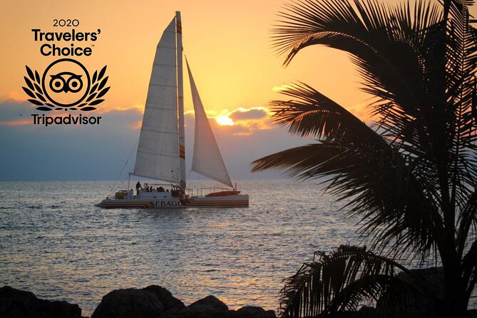 Key West Sunset Sail: Dolphin Watching, Wine, and Tapas - Operator and Staff Quality